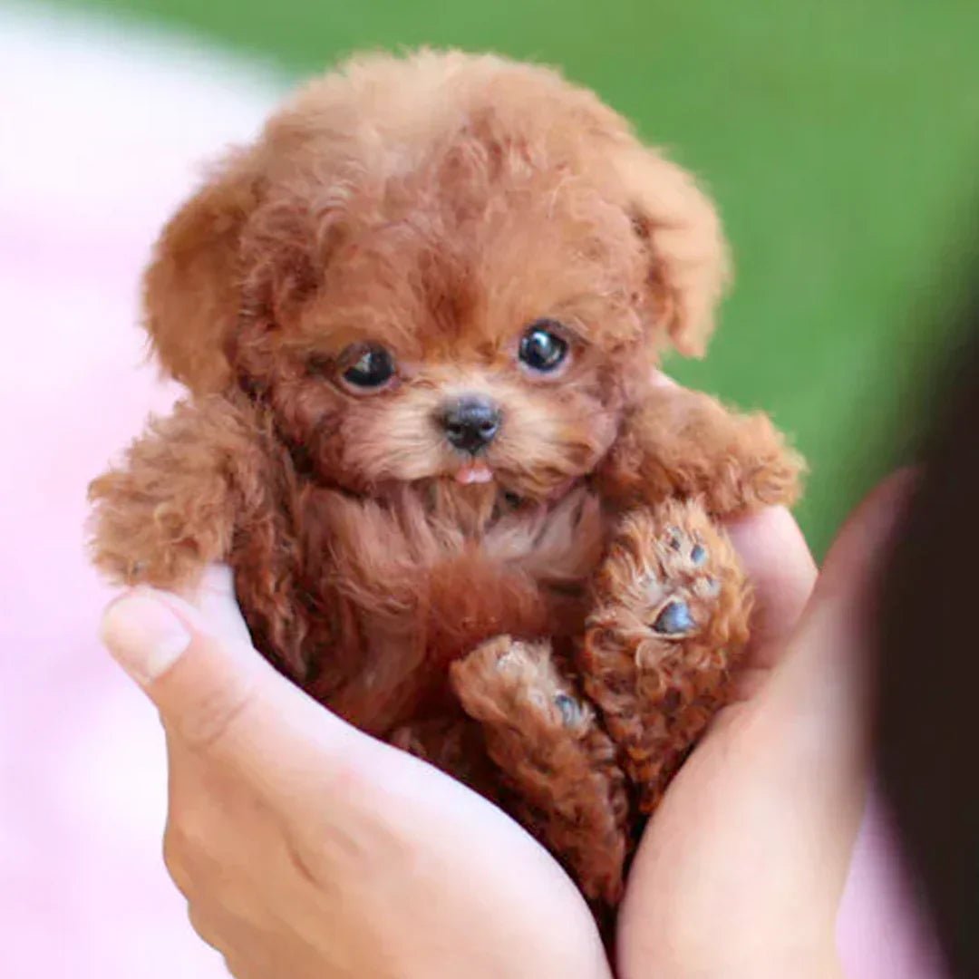 Realistic SnugglePup Plush Puppy Toy for Kids