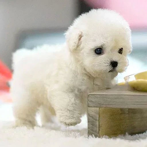 snuggle pup realistic plush puppy lifelike details