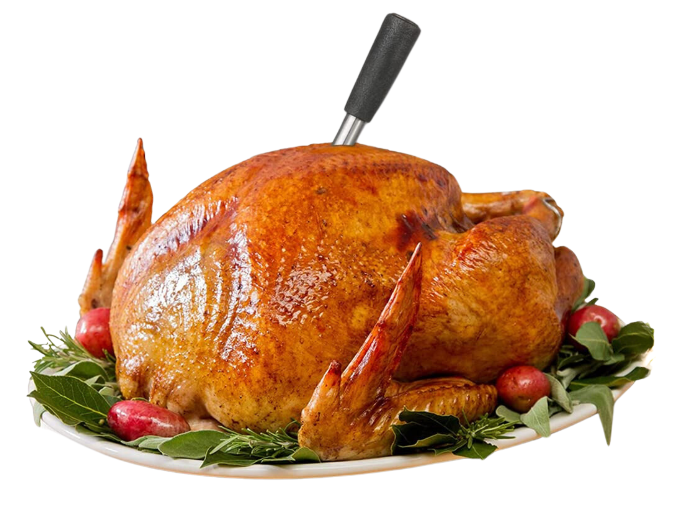 wireless meat thermometer perfect for steaks bbq fish turkey