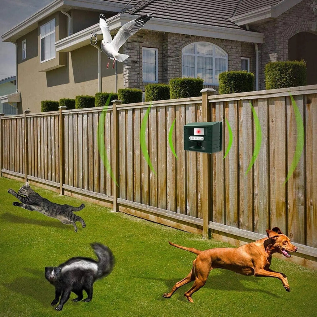 ultrasonic woodpecker repeller humane bird deterrent garden home