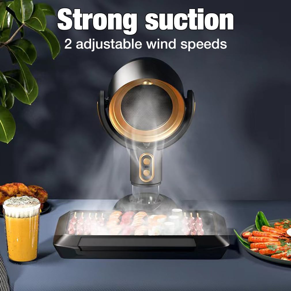 portable range hood 2 speed exhaust fan