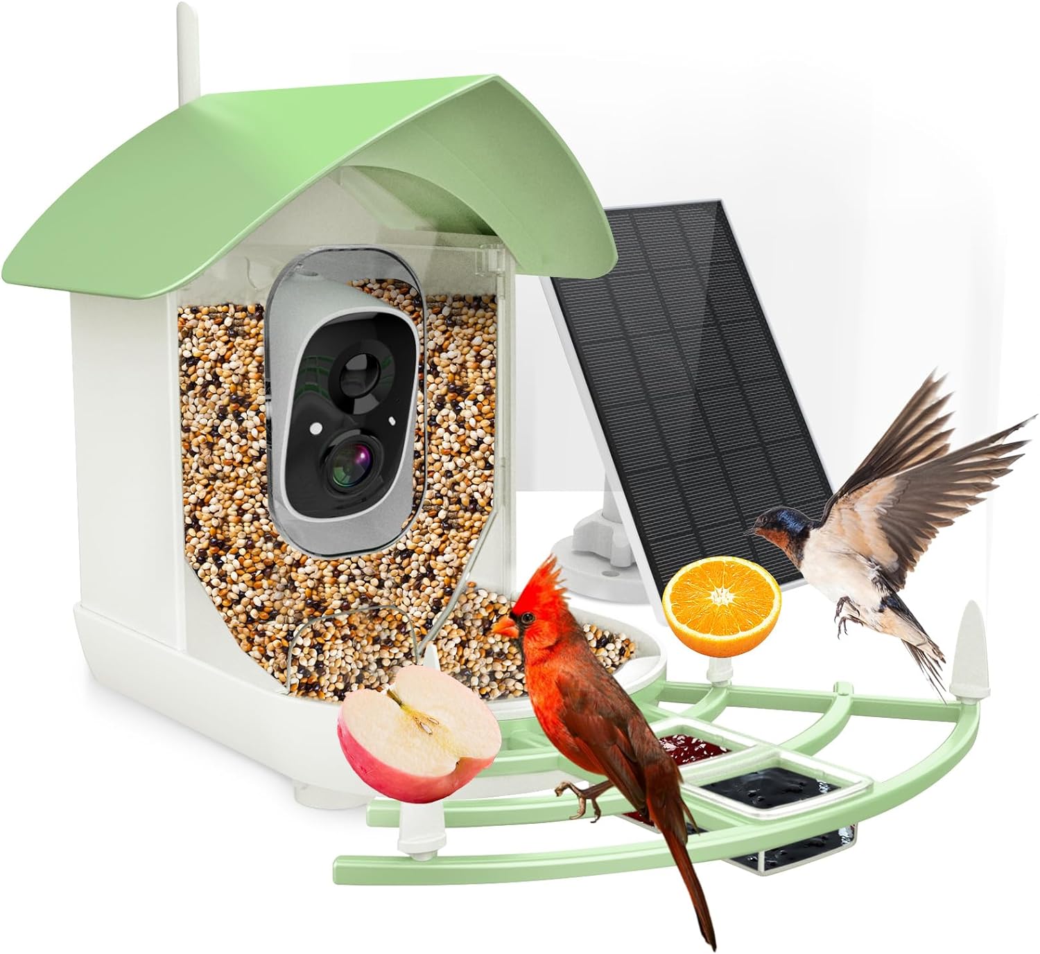 smart bird feeder camera