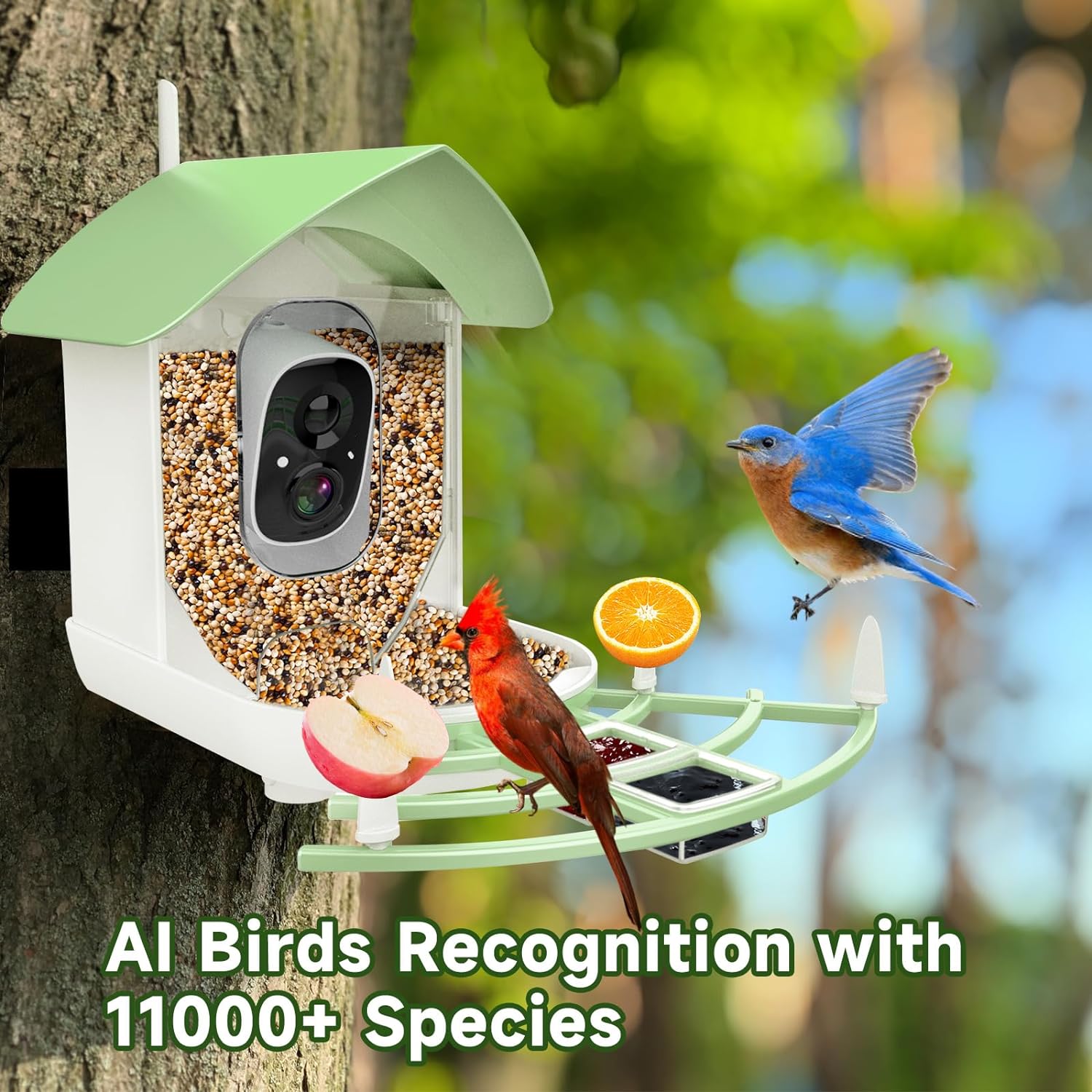 smart bird feeder camera