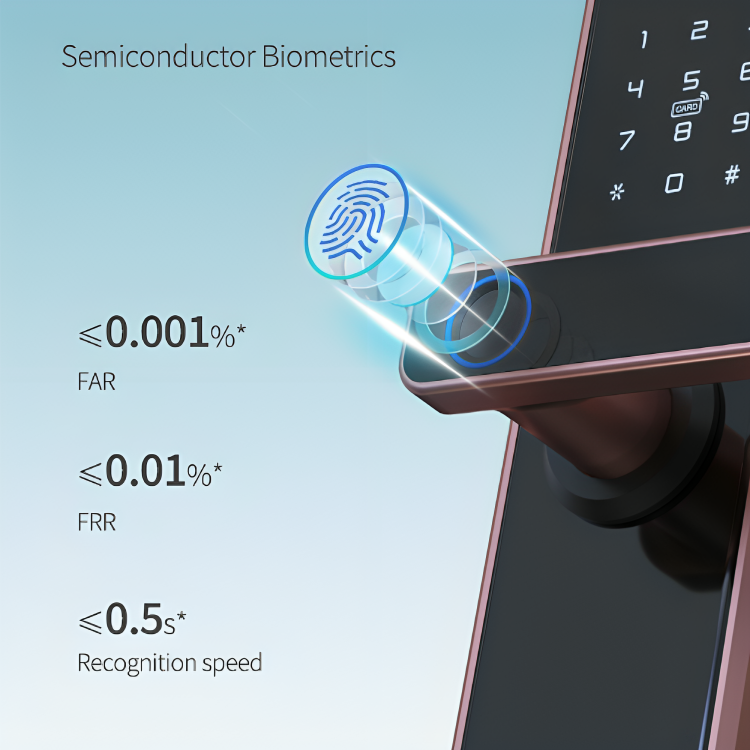 digital doorway keyless smart lock