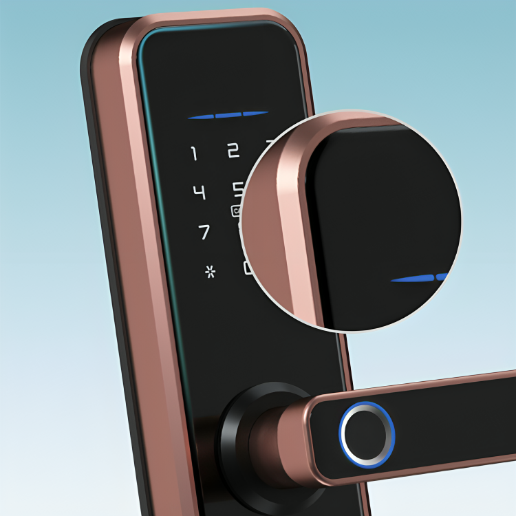 digital doorway keyless smart lock
