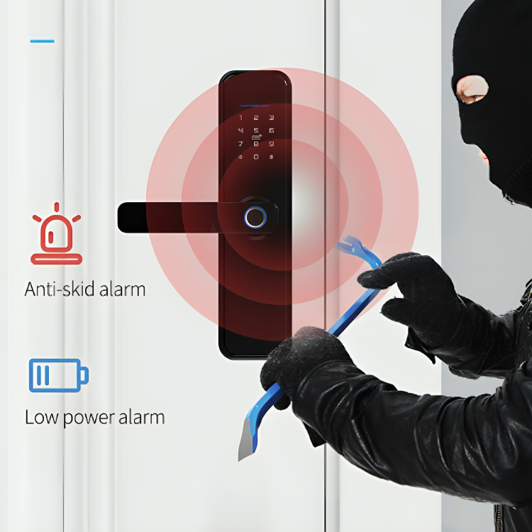 digital doorway keyless smart lock