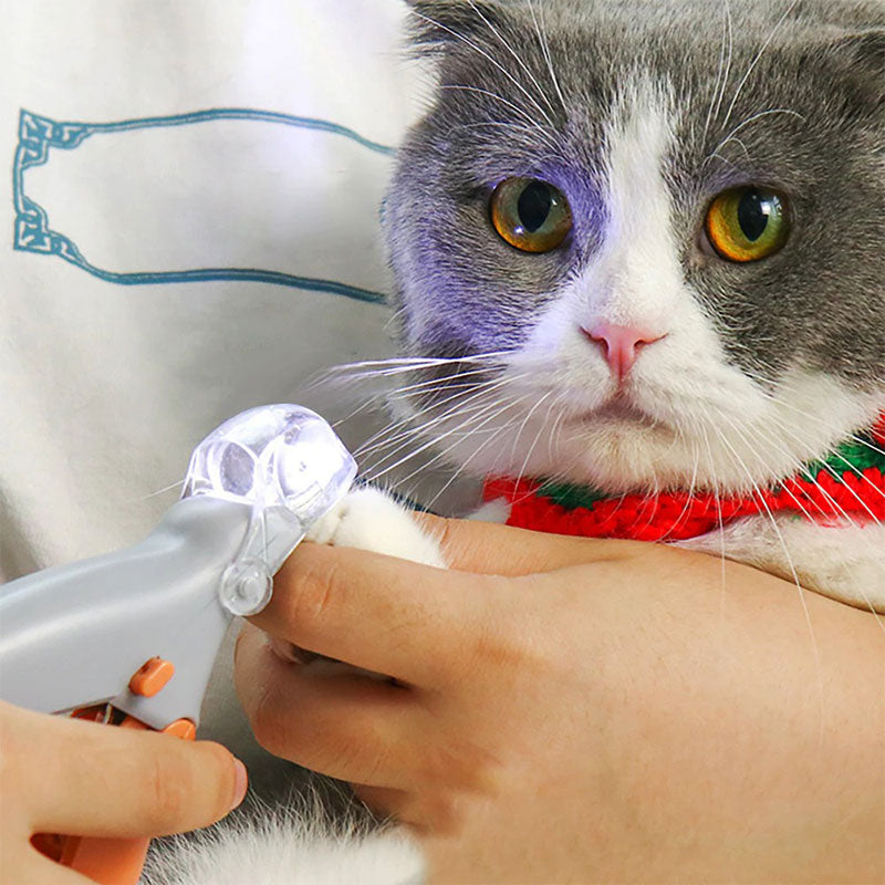 best dog nail clipper with quick sensor