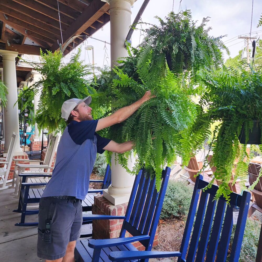 uv resistant lifelike artificial boston fern outdoor decor