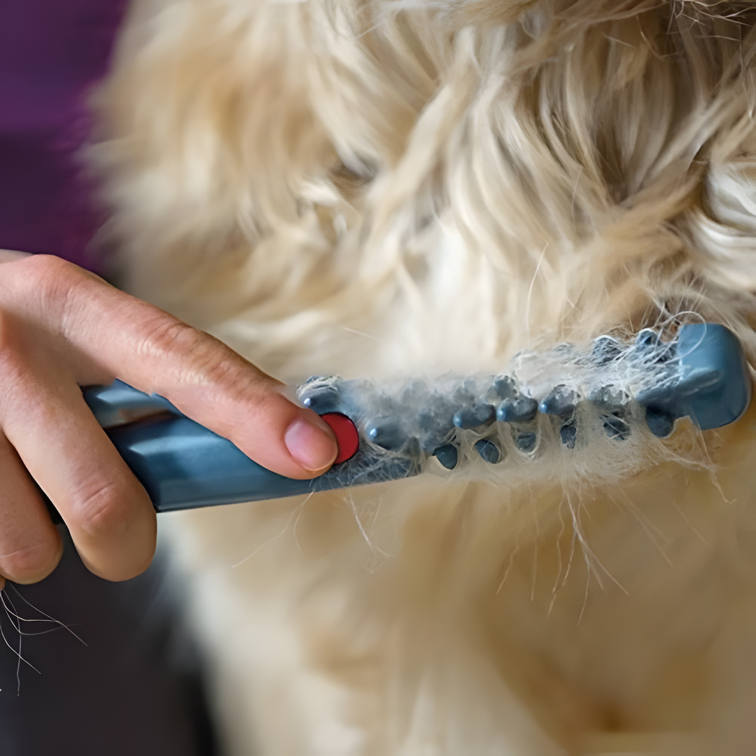 tangle free pet grooming brush gentle effective detangler cats dogs