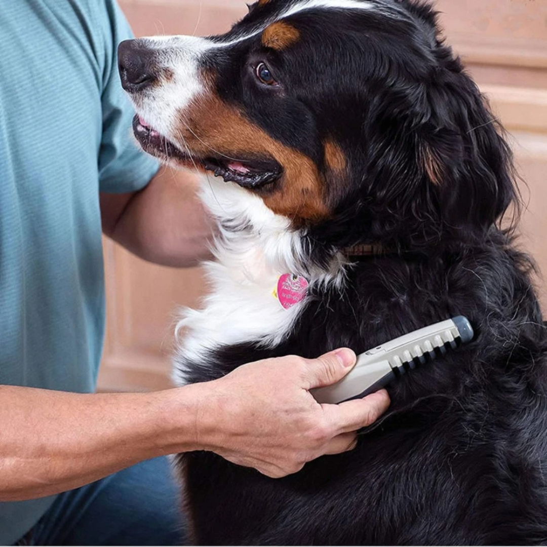 tangle free pet grooming brush gentle effective detangler cats dogs