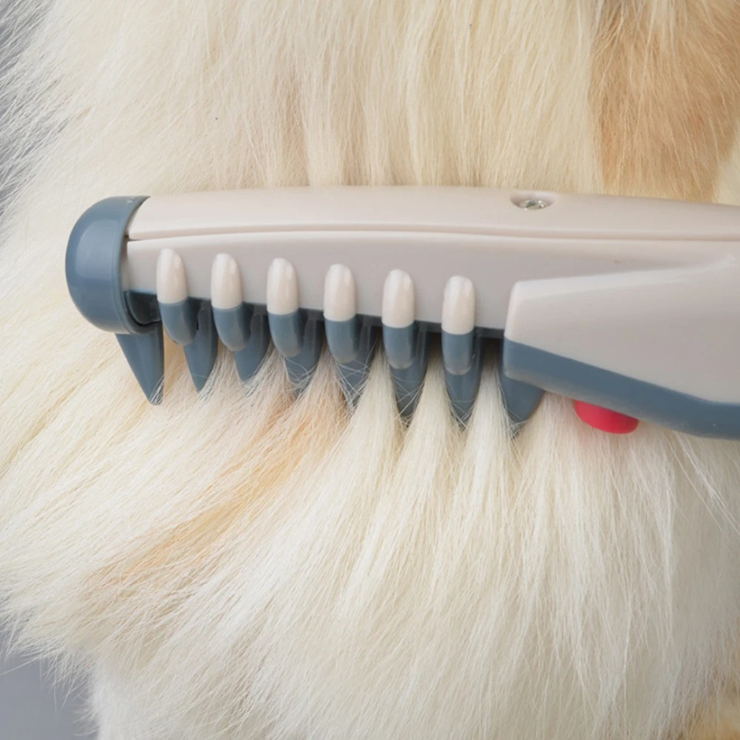tangle free pet grooming brush gentle effective detangler cats dogs