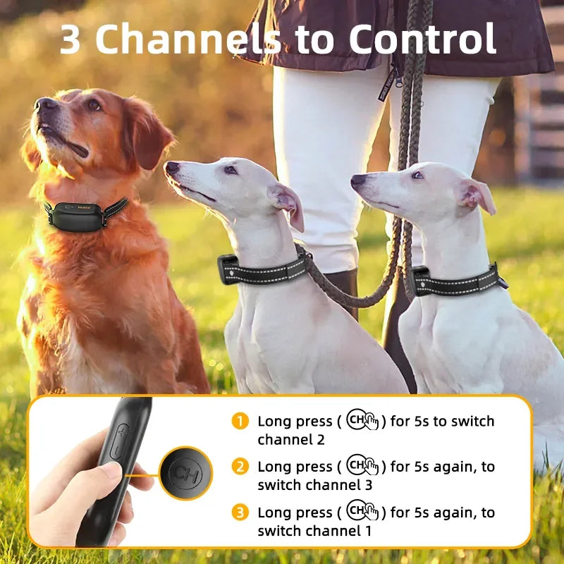 protrain rechargeable waterproof dog training collar remote
