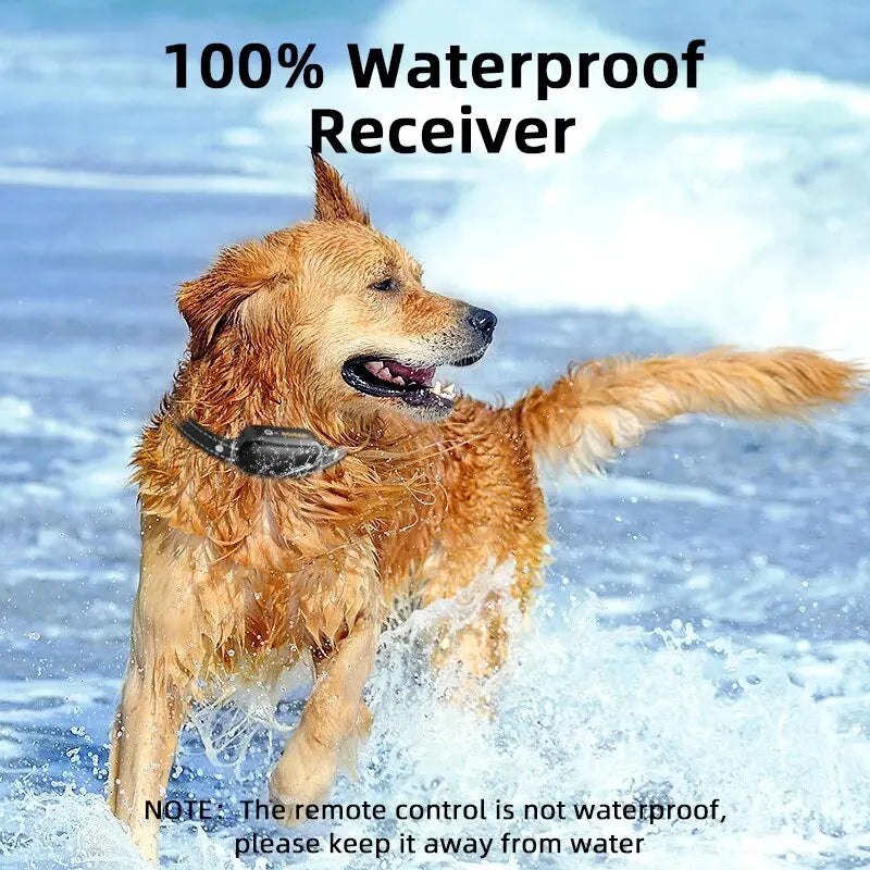protrain rechargeable waterproof dog training collar remote