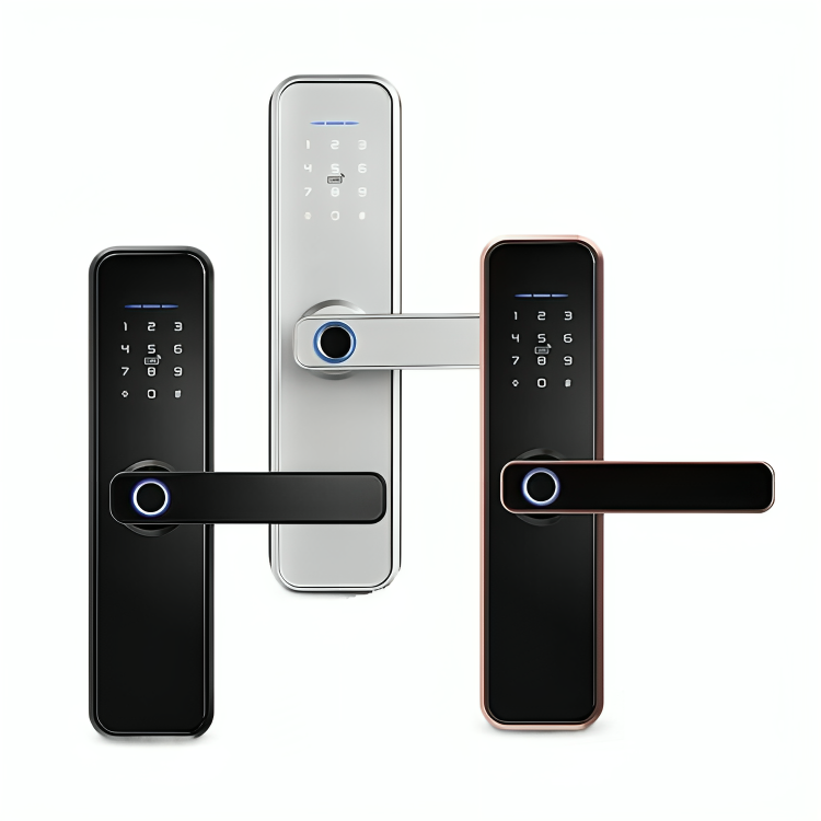 digital doorway keyless smart lock