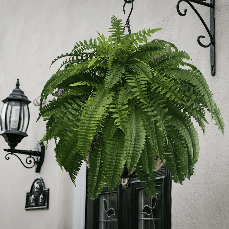 uv resistant lifelike artificial boston fern outdoor decor